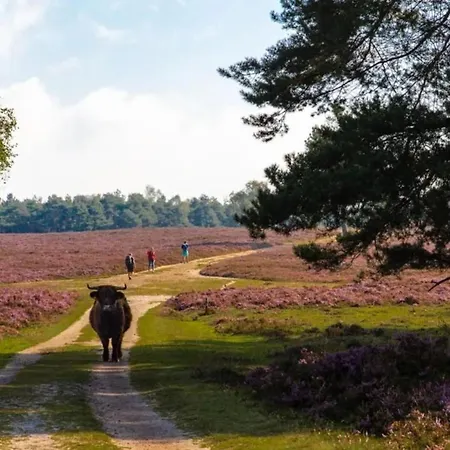 Landhoeve Semesterpark