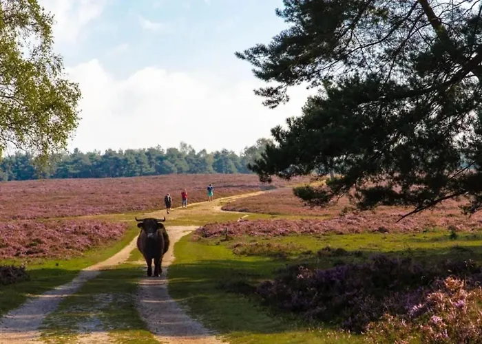 Landhoeve Semesterpark