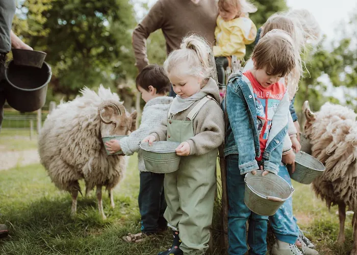 פארק נופש Landhoeve Oosterwolde (Gelderland)